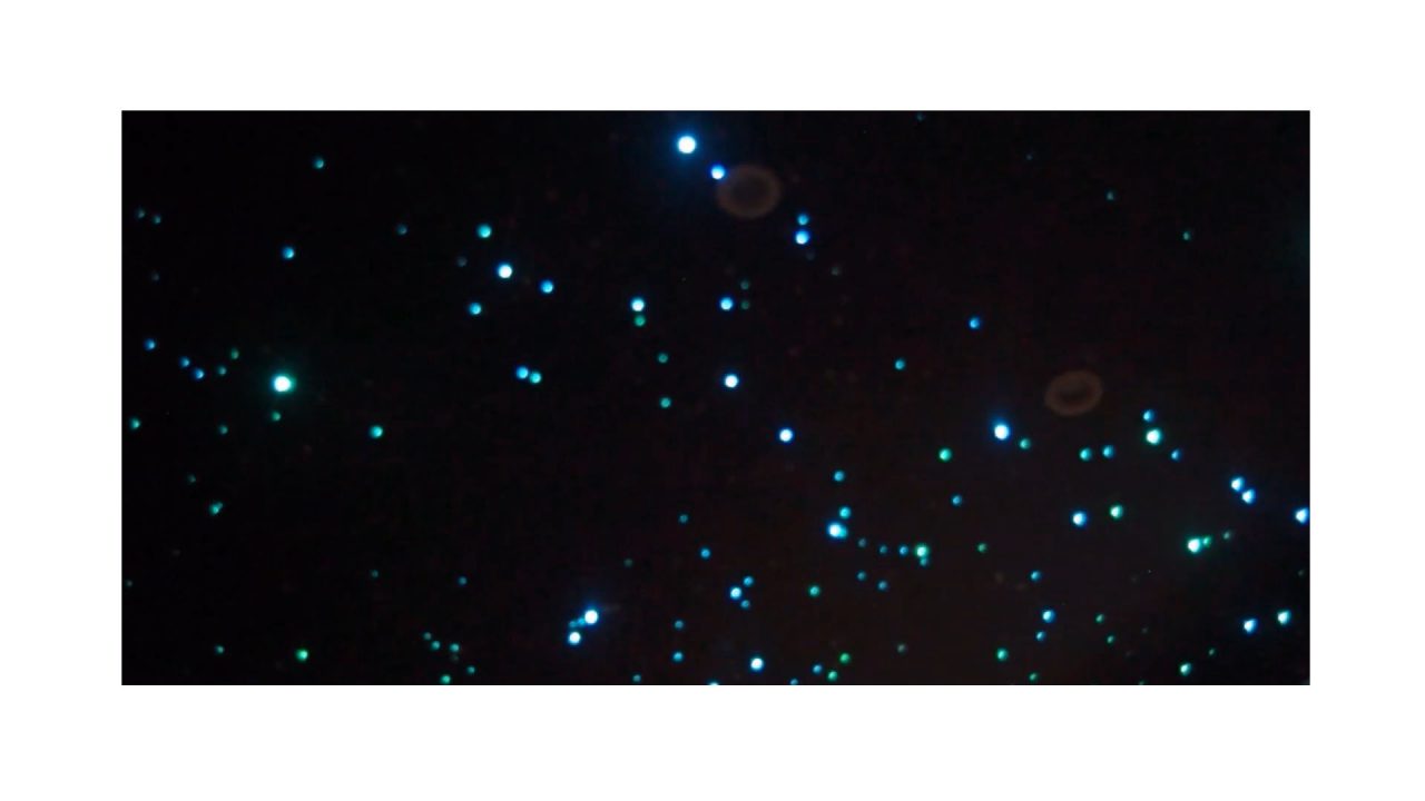 Trần ánh sao Biệt Thự là một tác phẩm nghệ thuật hoàn mỹ với hàng trăm, hàng nghìn điểm sao lấp lánh được thiết kế từ những sợi quang phát sáng tùy chọn màu sắc. Trần ánh sao nhân tạo sẽ mô phỏng lại một bầu trời đêm đầy sao lấp lánh ngay trong không gian biệt thự của bạn. 